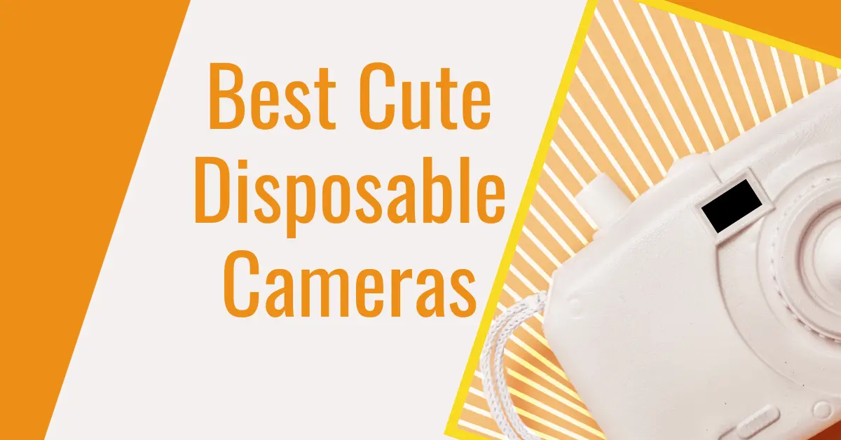 cute disposable camera