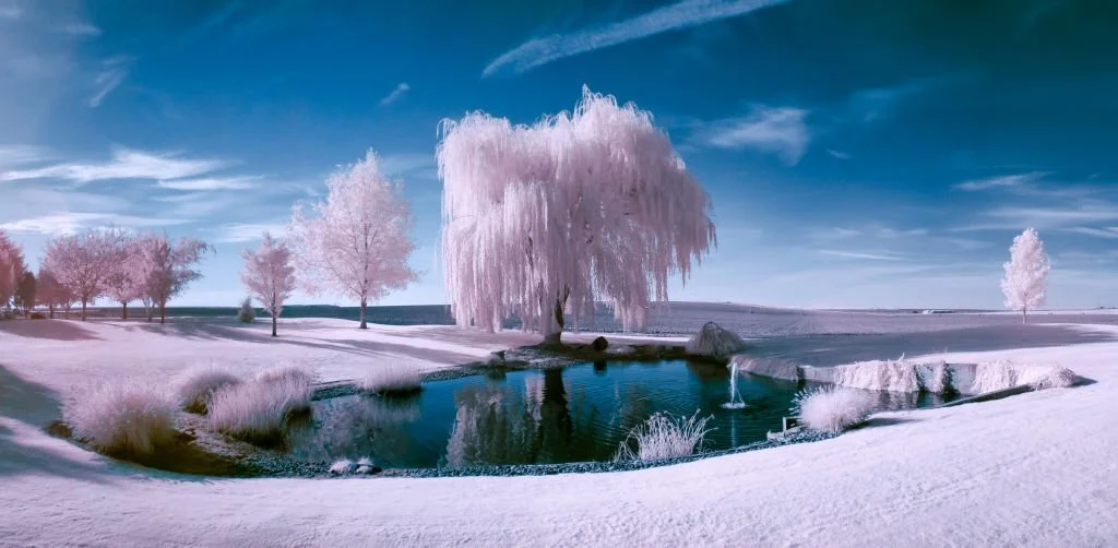 How Infrared Photography Works