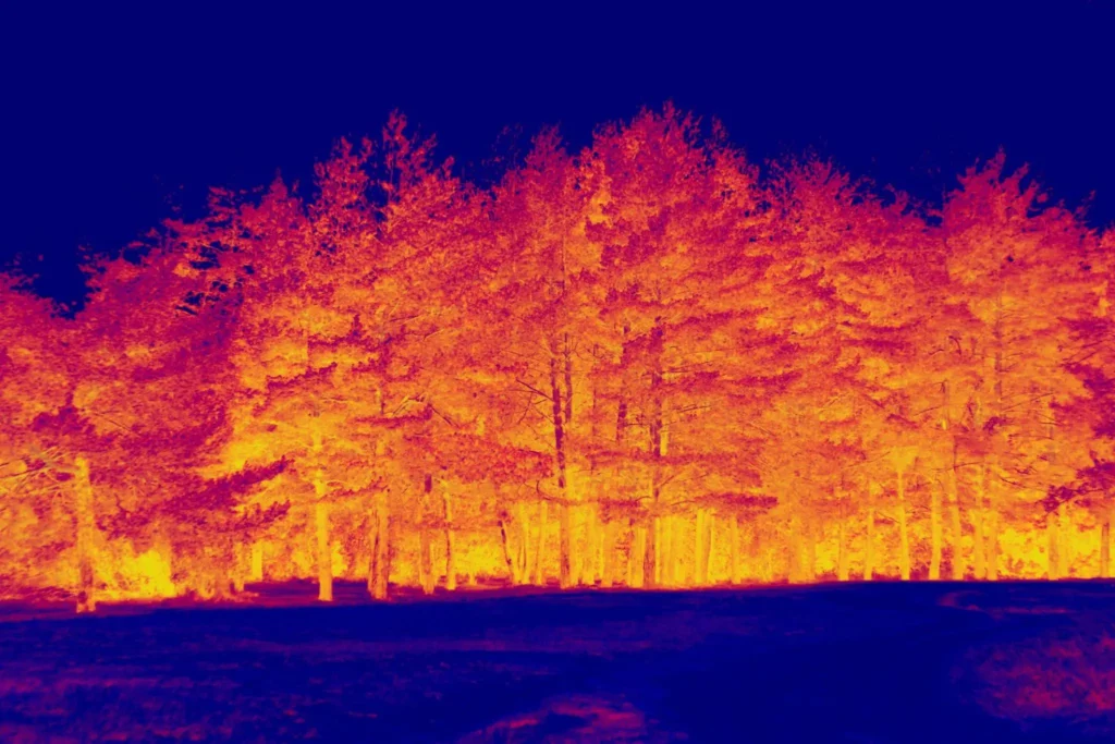sixth example of infrared photo