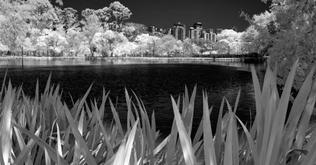 How to Take Infrared Photography