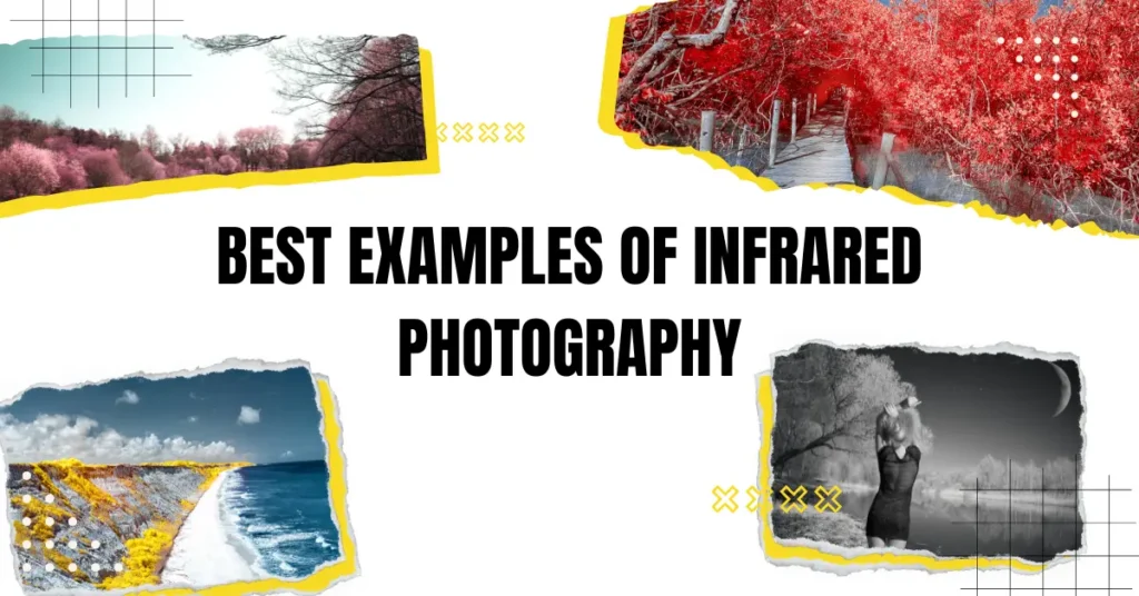 Best Examples of Infrared Photography on the Internet