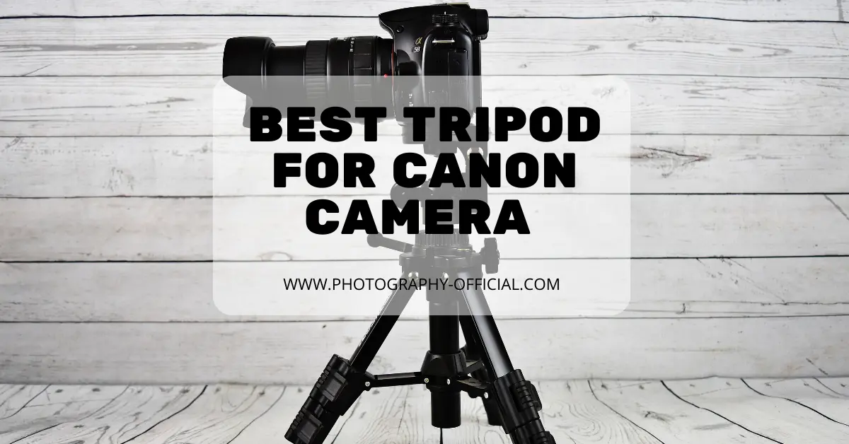 Best Tripod for Canon Camera